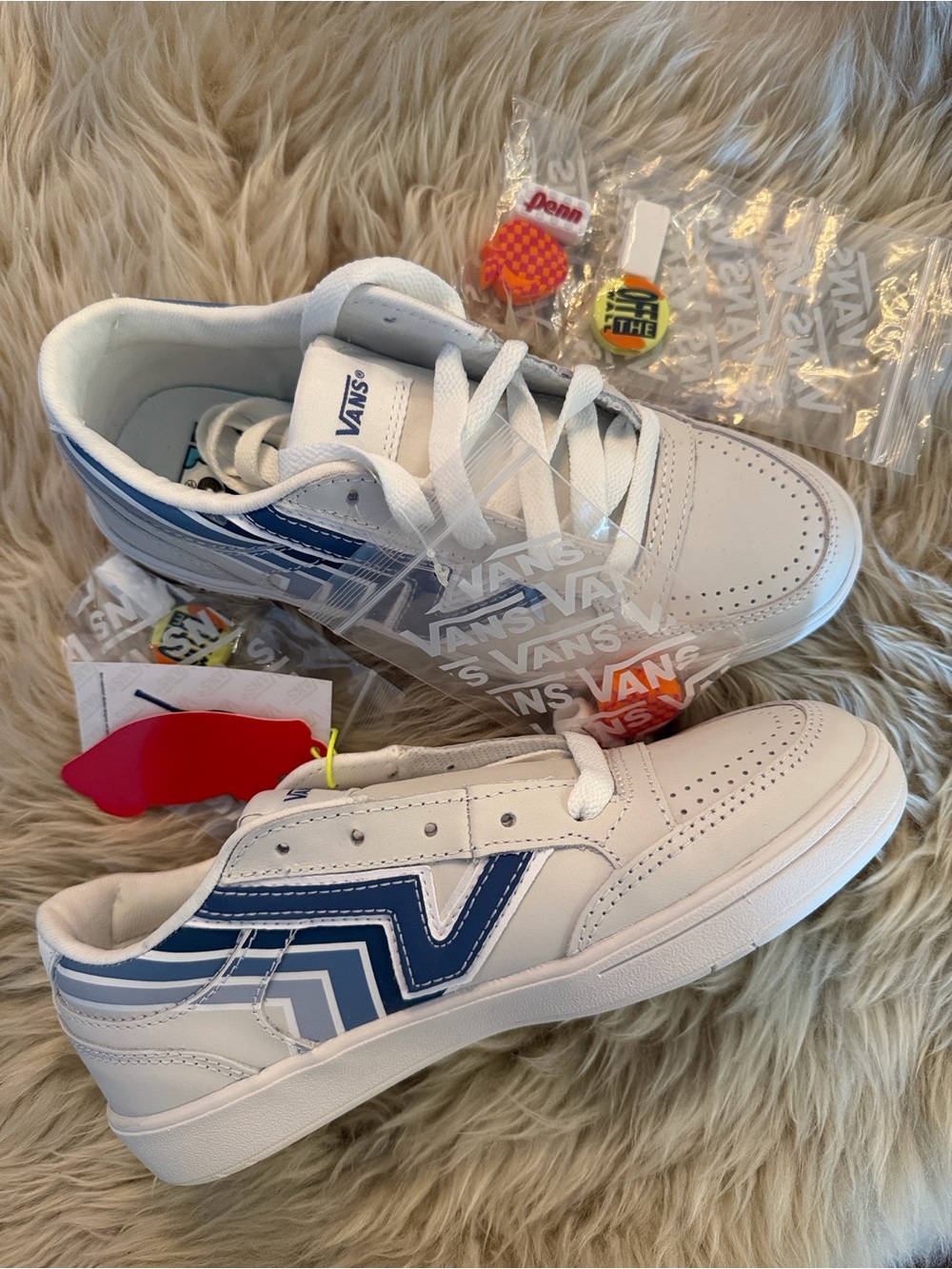 Vans x Penn'White & Navy Low-Top Sneakers Lowland Cc